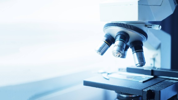 microscope 